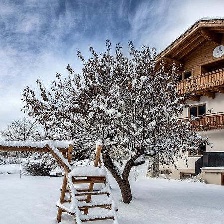 Alpine View Apartments Niedernsill Εξωτερικό φωτογραφία