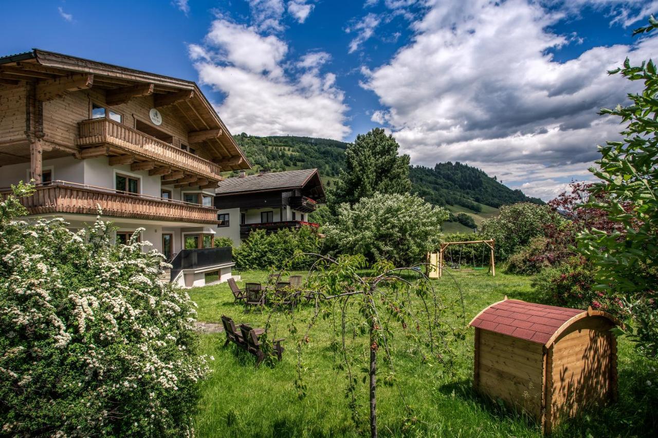 Alpine View Apartments Niedernsill Εξωτερικό φωτογραφία